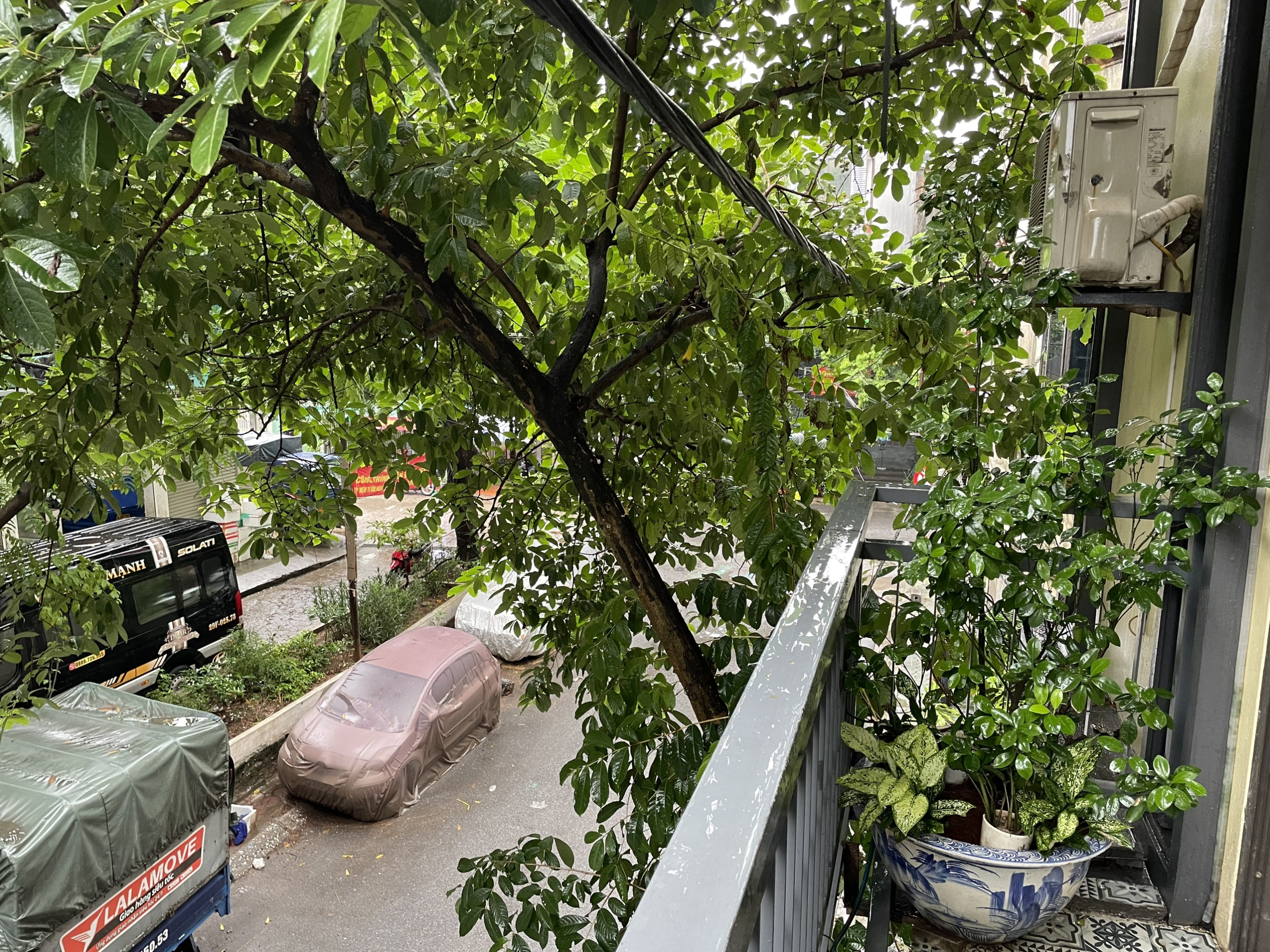 z5546329191974_8228f349684d3462de577a0149e2b868