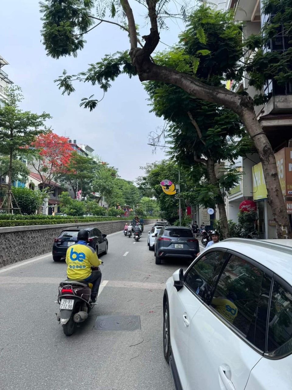 z5548632123945_532306a78798594b2c81ba1ad36d1790 (1)