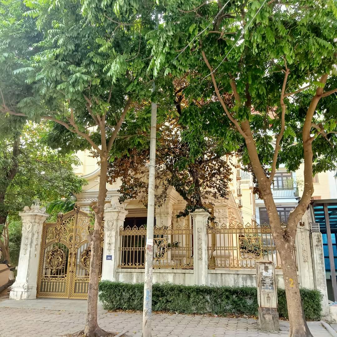 z5548642126027_32a0a5649d24103ec5e94f7b1146f9bb