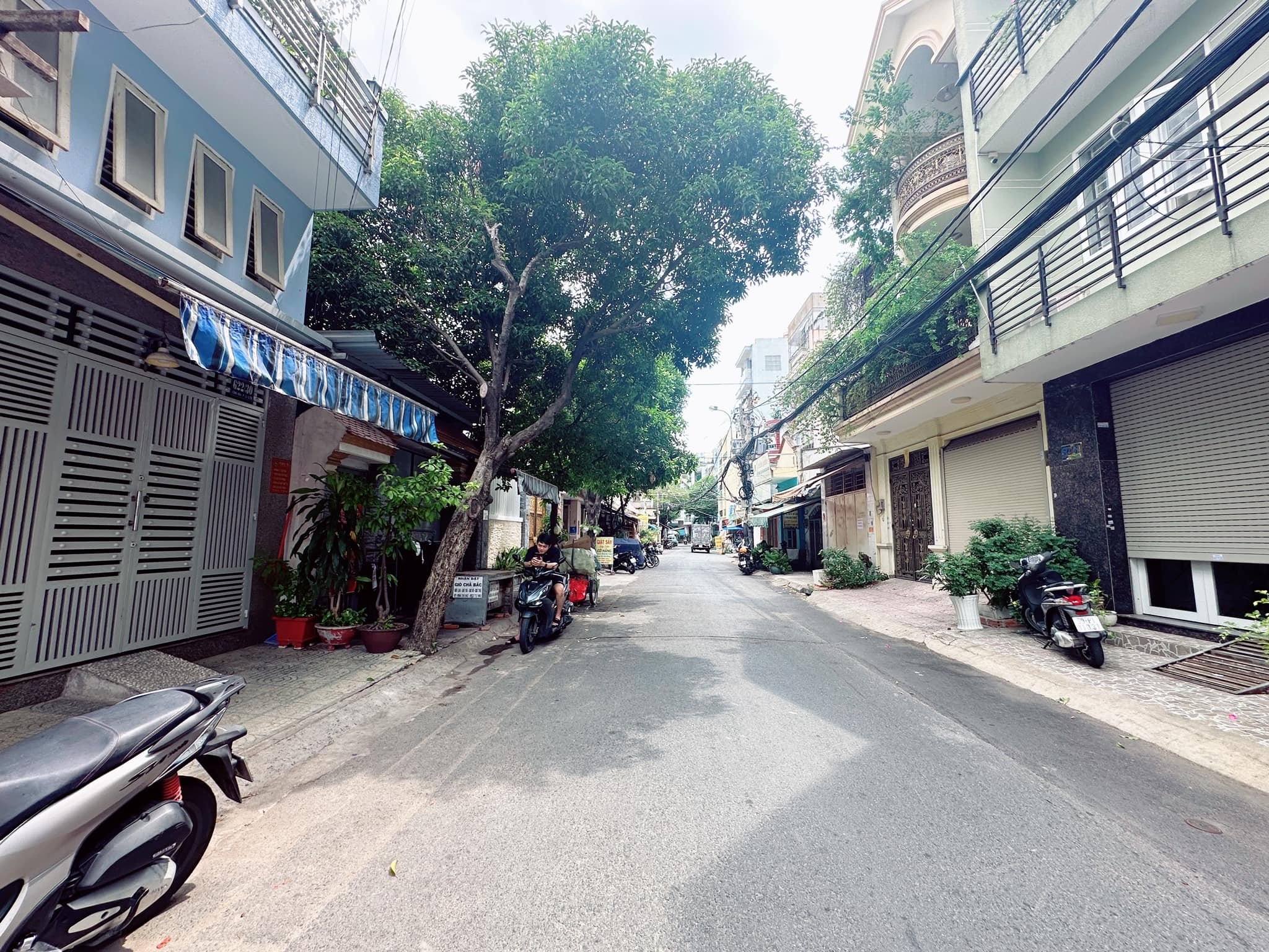 z5551748143165_d99b6c9877ccc728a05316c3fa69b934