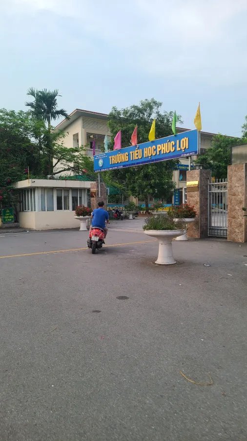 z5554928700508_4c50254fe09024a39df1cf016f0188c4