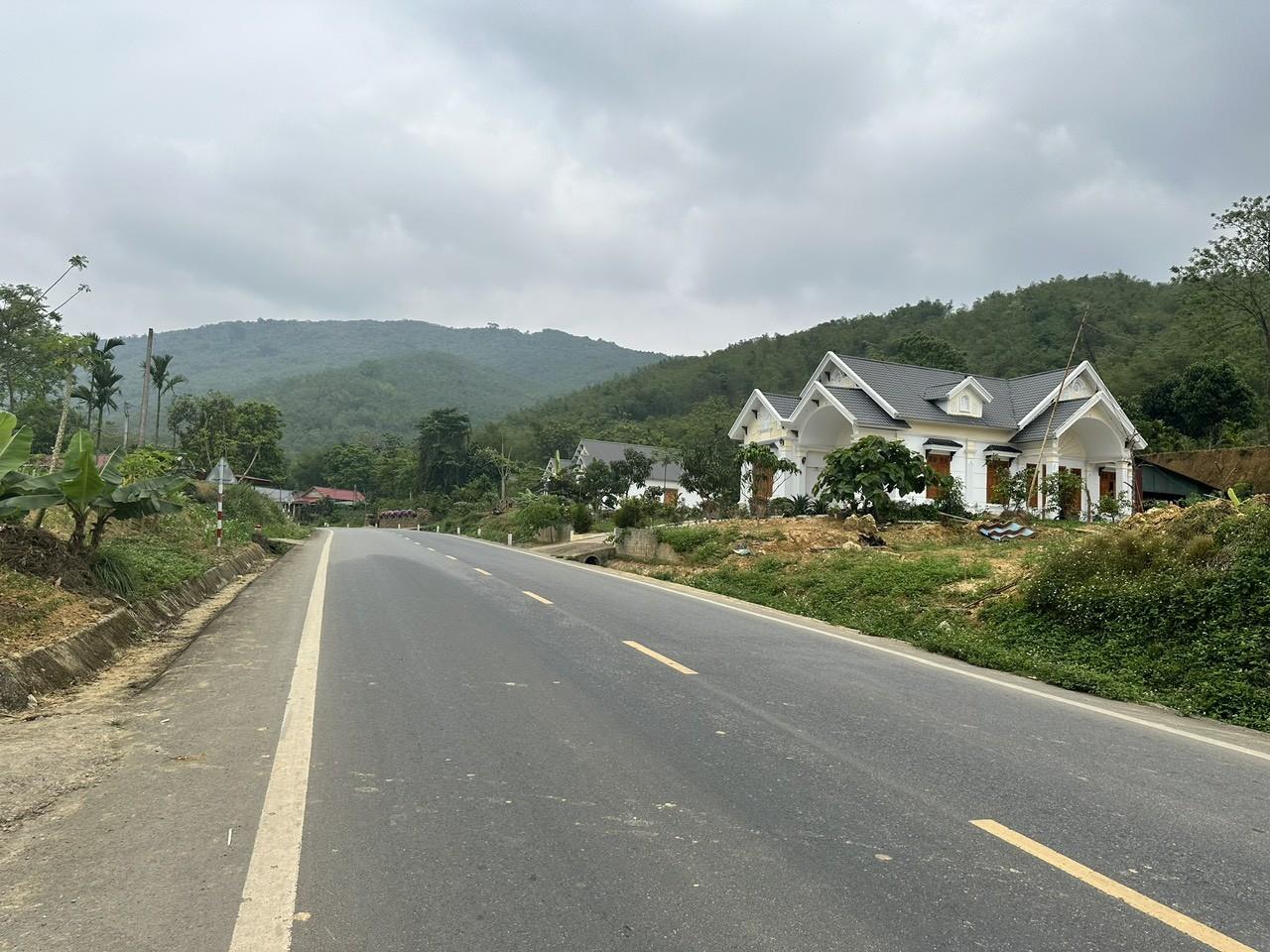 z5555726861135_4594e2785ff3af560a0506efd8d4bffe