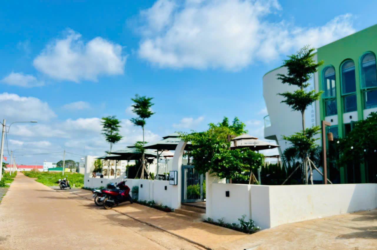 z5556369969110_a45b97341955b8c19c33c88769e03d83