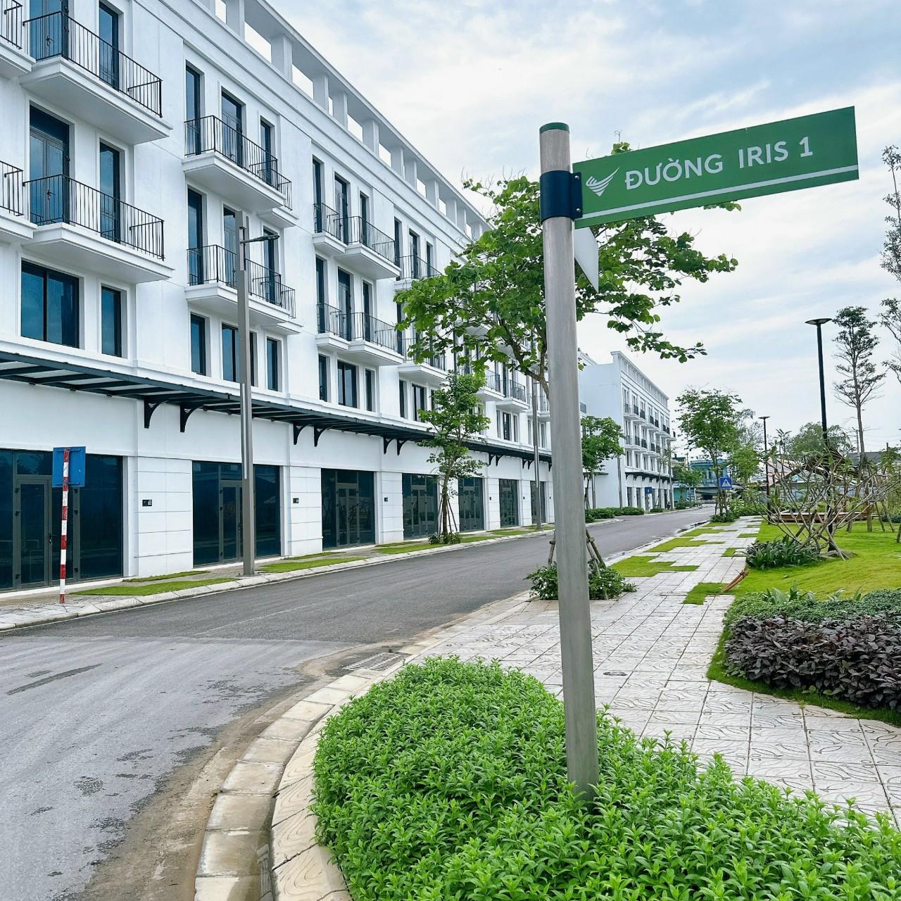 z5557248611861_1166defff5e9c745ab8c8b9f0d2daa50