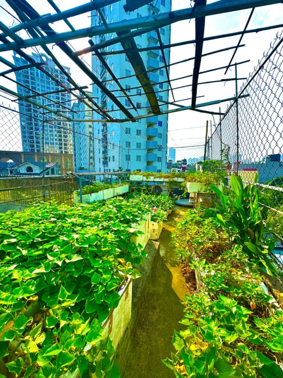 z5557567193052_3a2e0494467421a0bb4c5eb83d751551