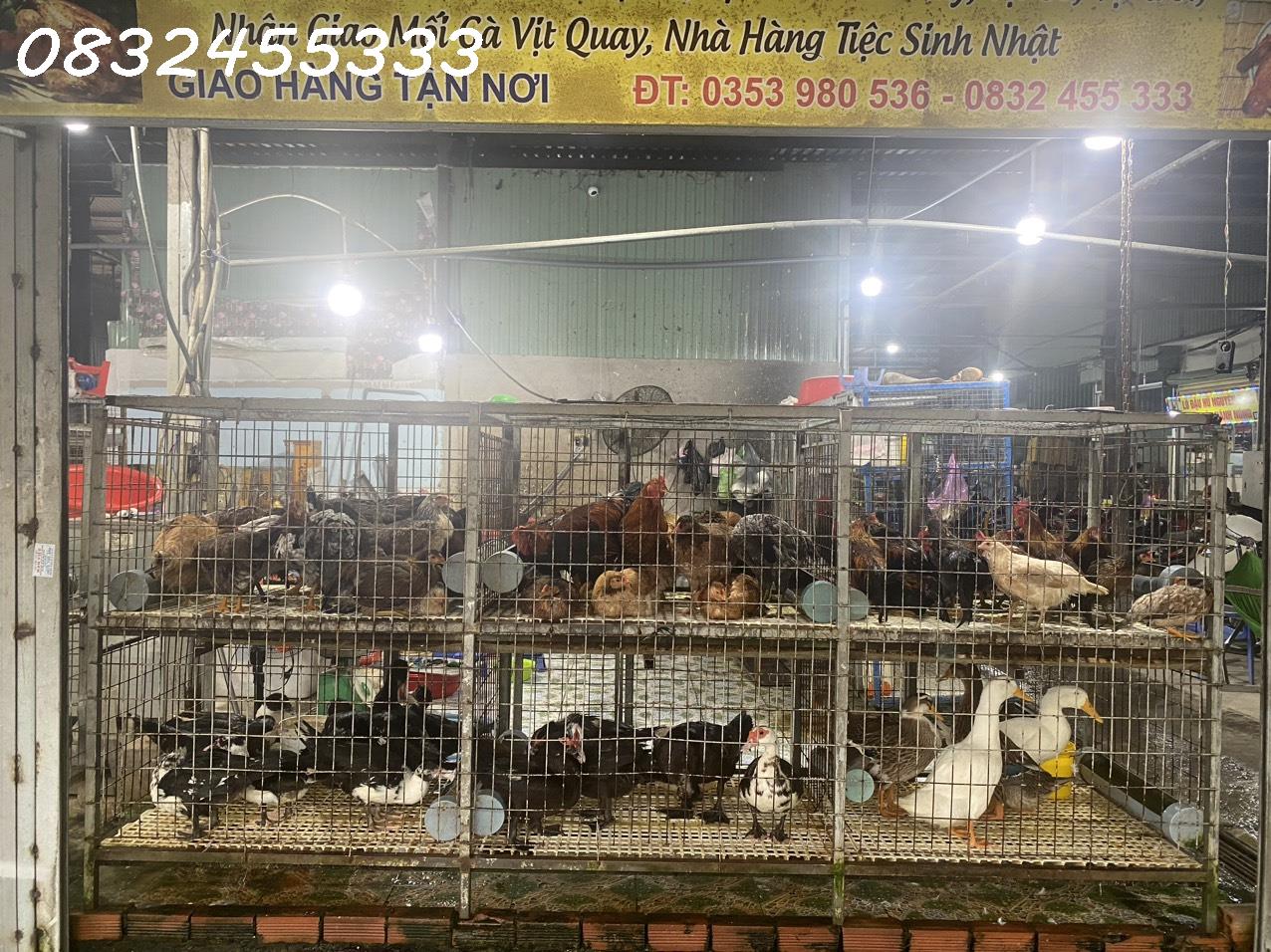 z5558967312919_7693b87a3ef9cbe7d53d5cfa08de095a