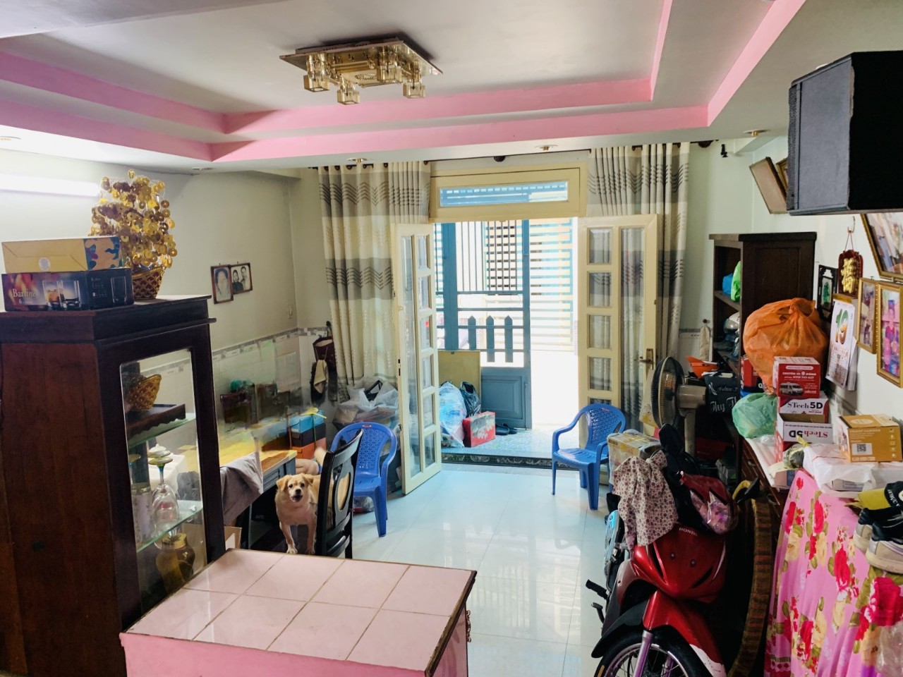 z5560270137507_f8c83b0c53e409a593aa176c4a569155