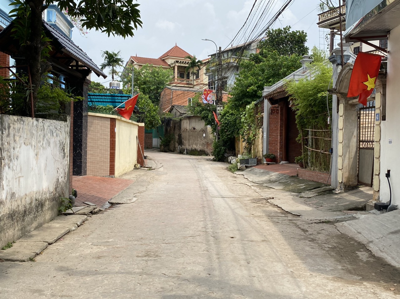 z5560542831118_bc624f83f50d16022360d6dca3771a8e