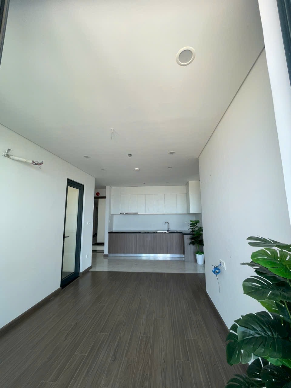 z5560651278216_91c868c647675ad444ad11a59f8df6cb