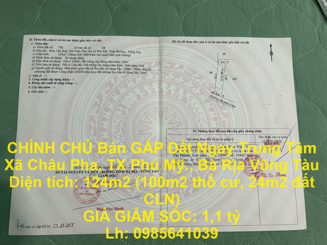 z5561006327774_d50c1ee2b341d25022dec199cc24f515 (1)