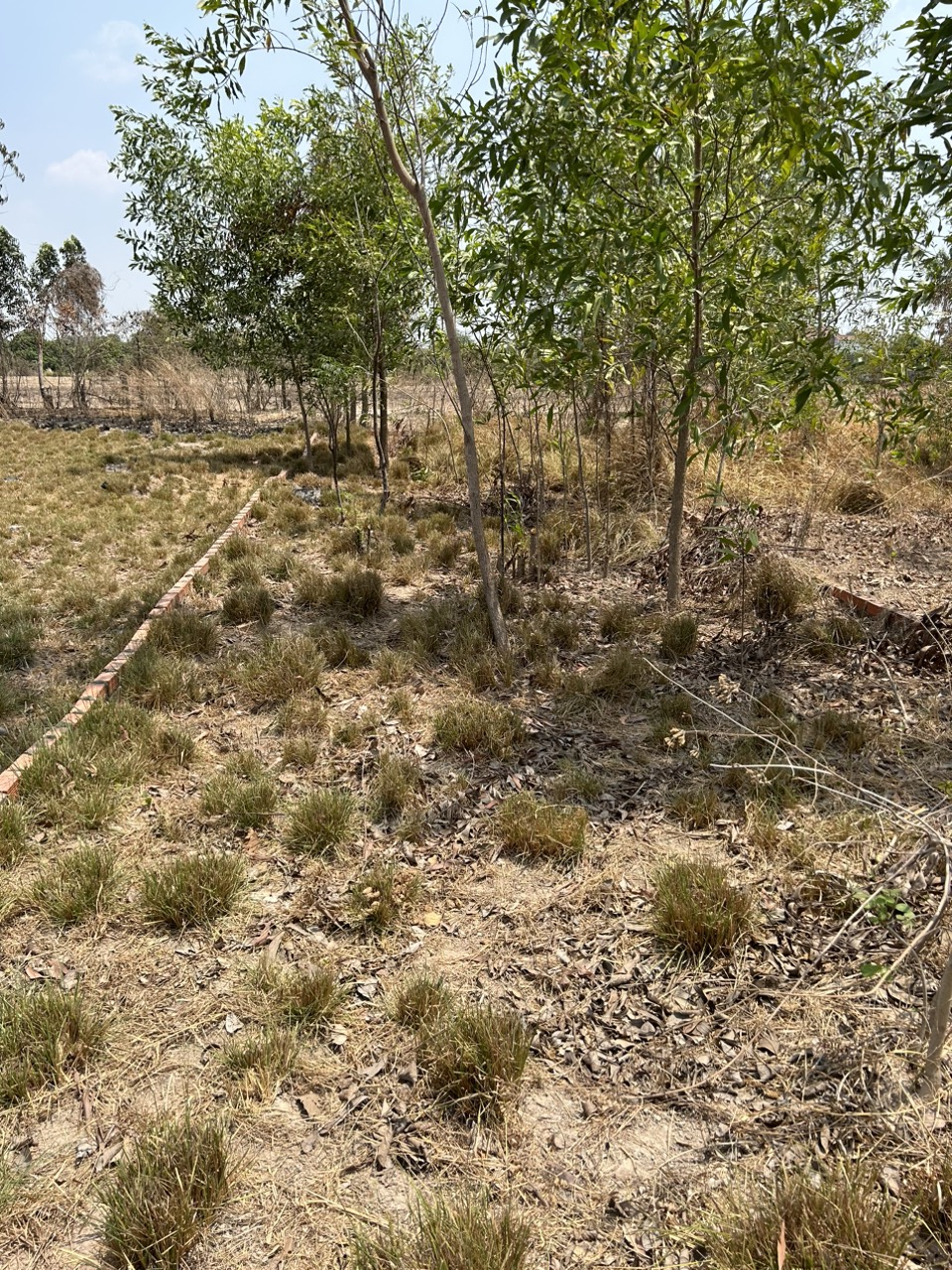 z5561006342910_5c867b55914455e774012e73fed5f399