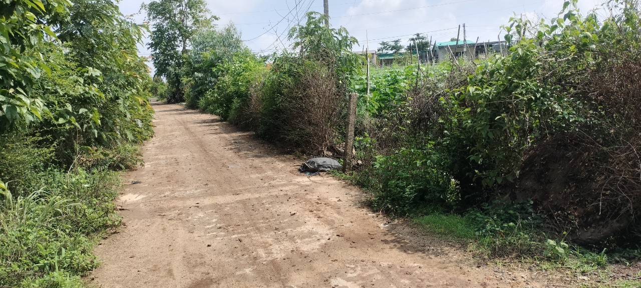 z5562482777672_88849f01ad8a90953966d7665f06fce1