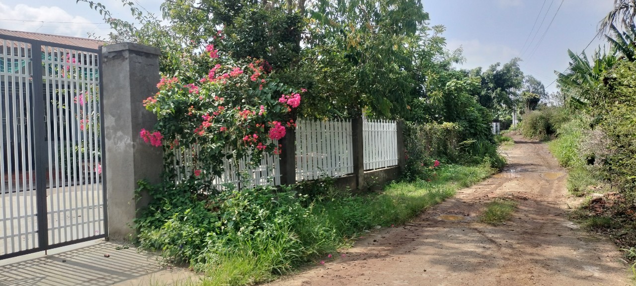 z5562482780162_18307a0a97c61d579f666f916bc66b79