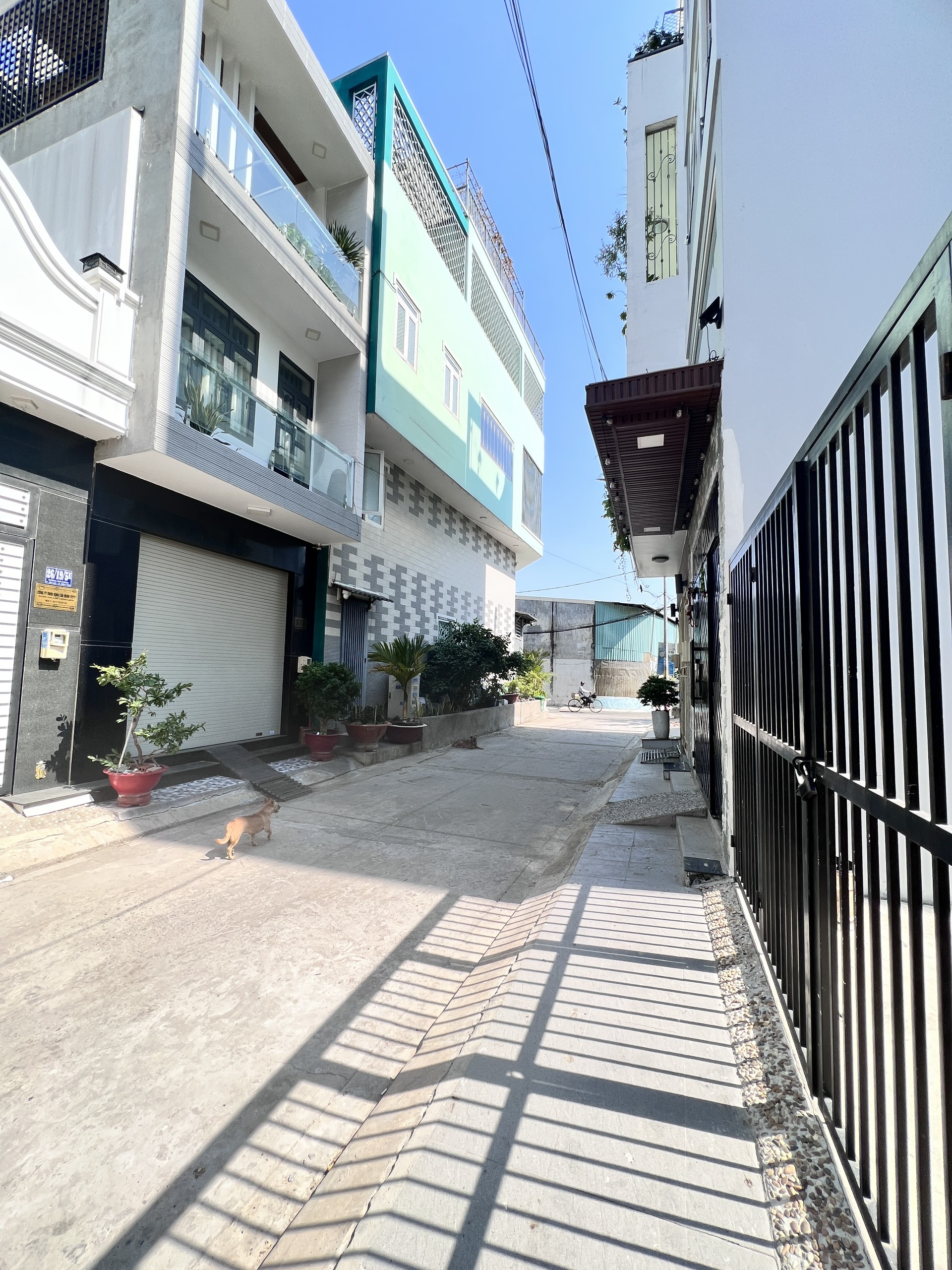 z5563649526435_c6f44a1e4763e65e47306c24457ebb8d