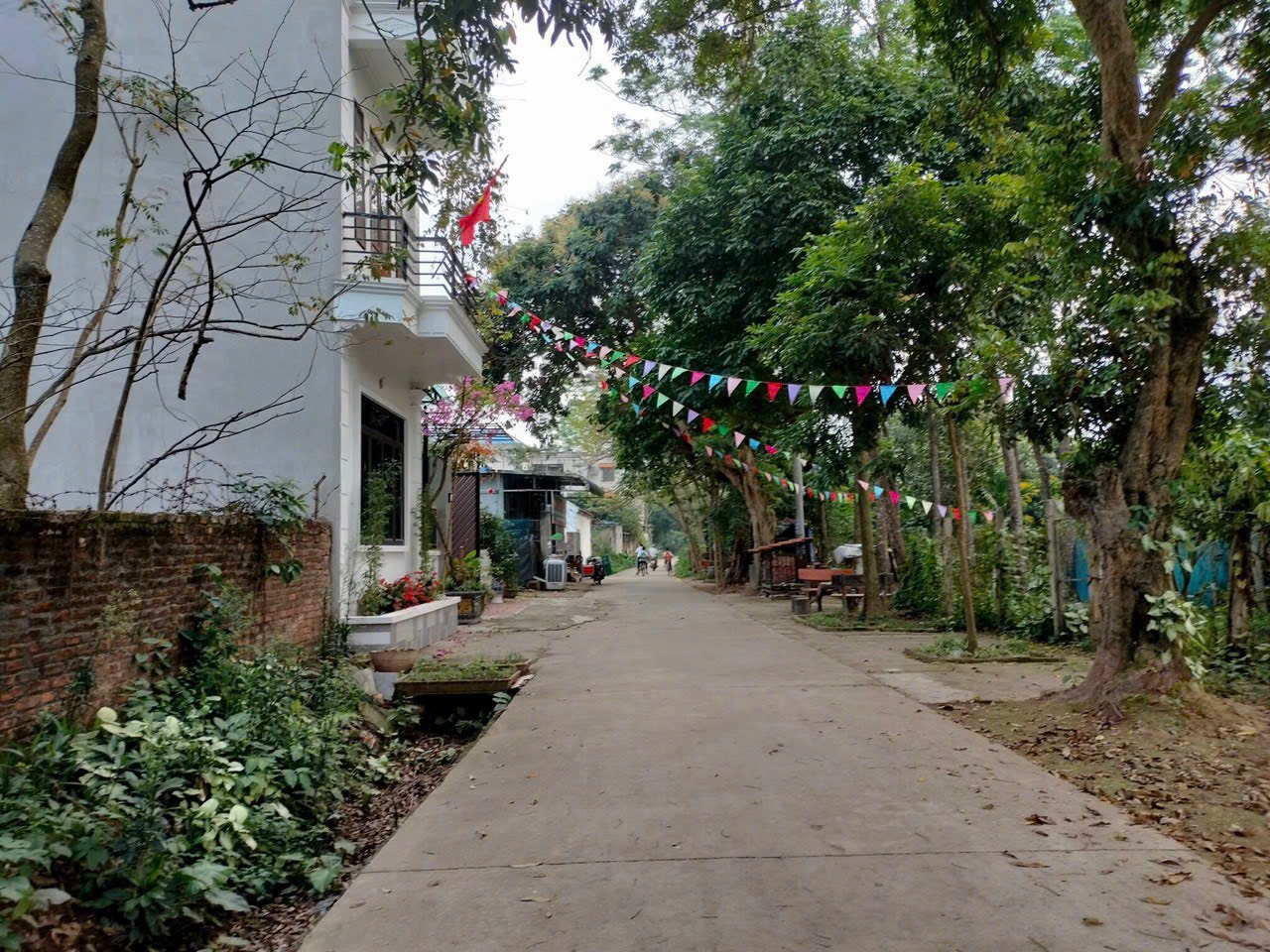 z5565133602741_642f4b472ff8d661a651807b18c2aea4