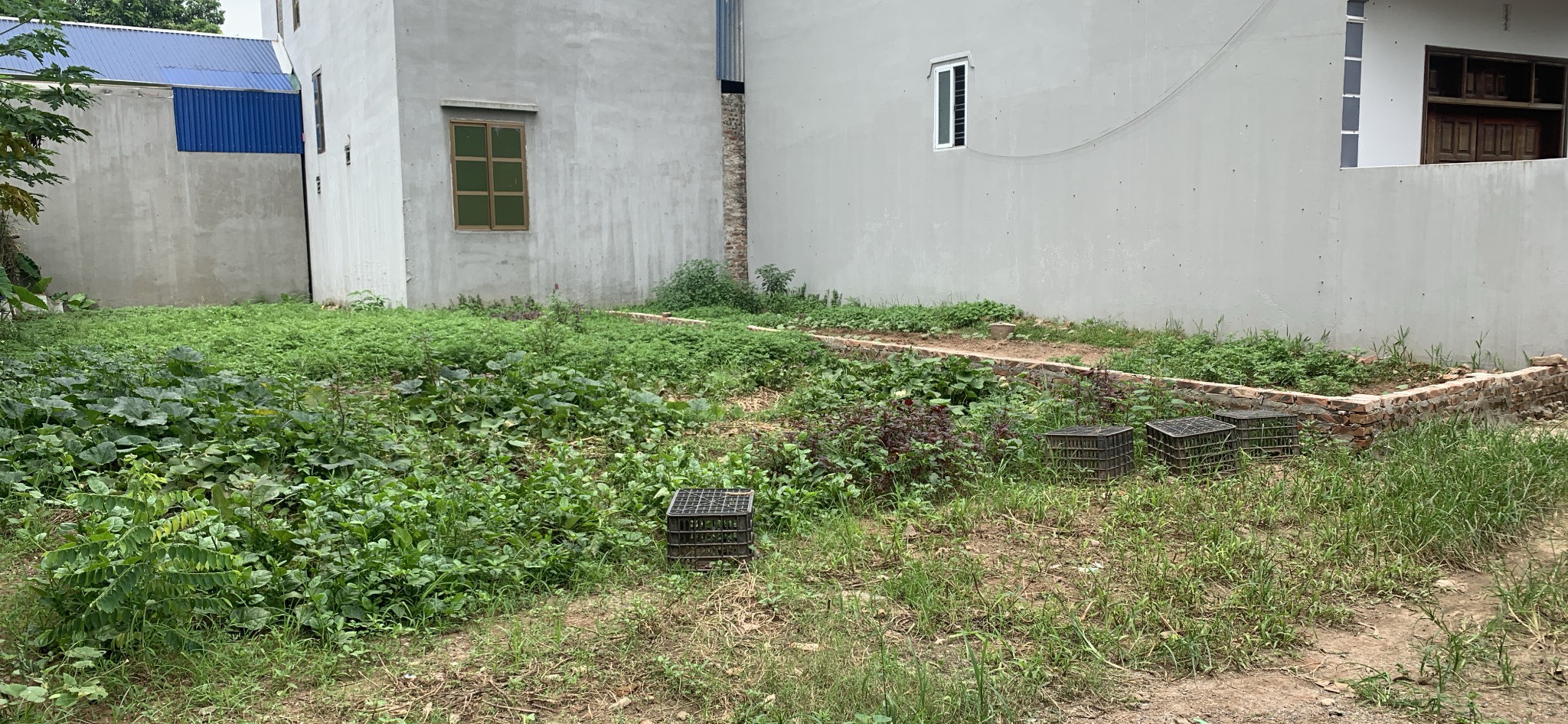 z5565133606742_a1321e6f54922a44cccc7d381545109f