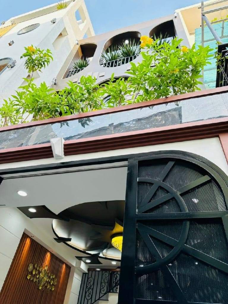 z5565451724080_a6893229894931feff375e4754b1a03c