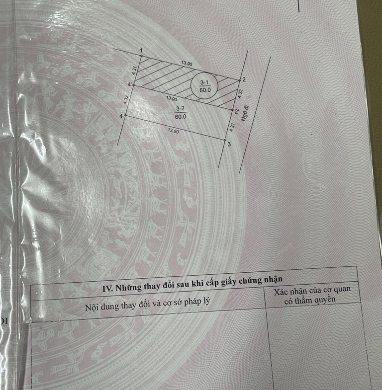 z5565802331906_7acaa2f8bcec3fb807c3b3a962010f9b