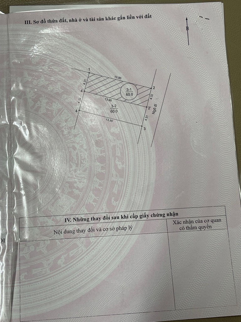 z5565802331906_7acaa2f8bcec3fb807c3b3a962010f9b