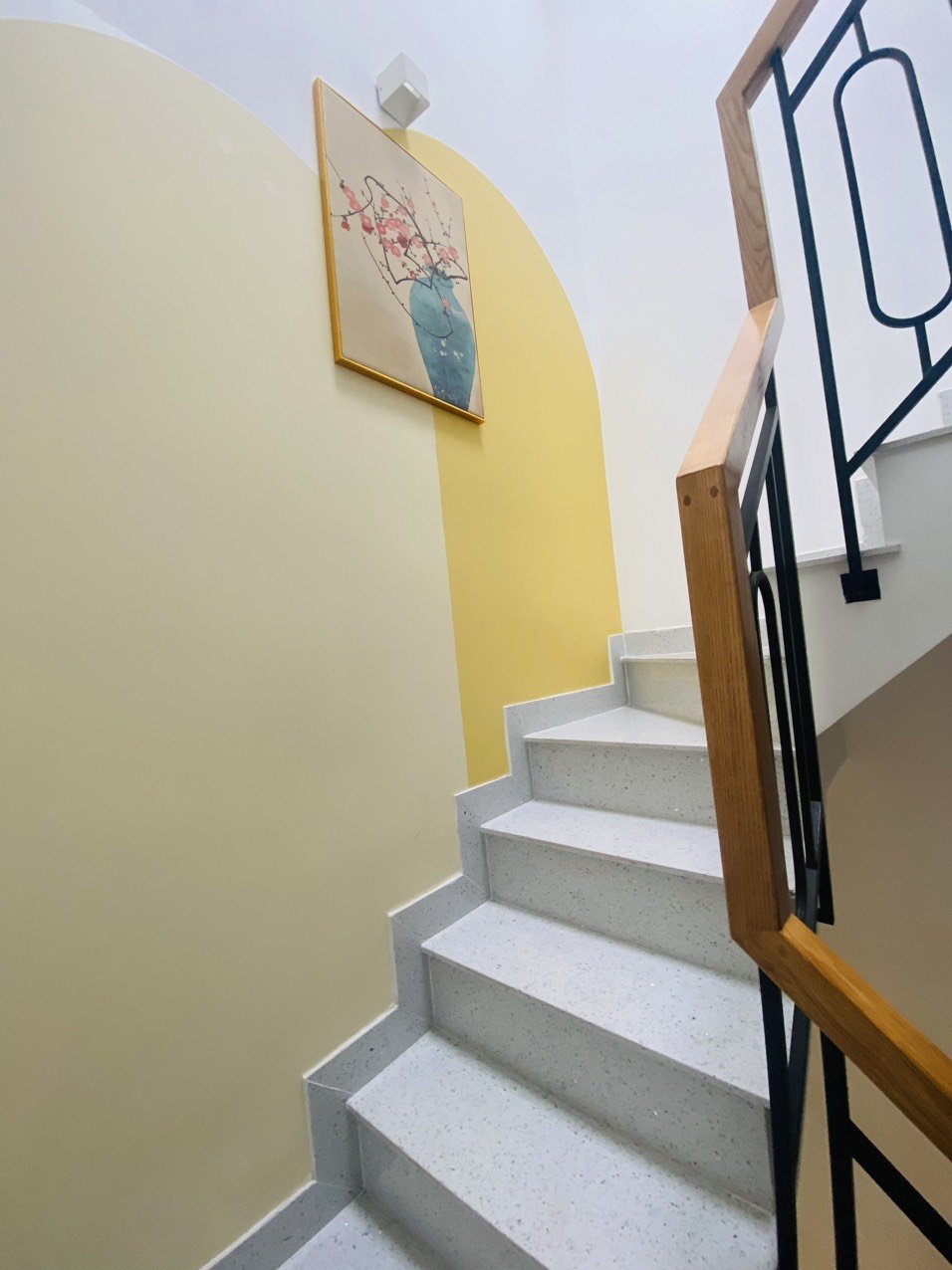 z5565936022800_aa2ab3de31ce21eeffb2ba96dafc46e8