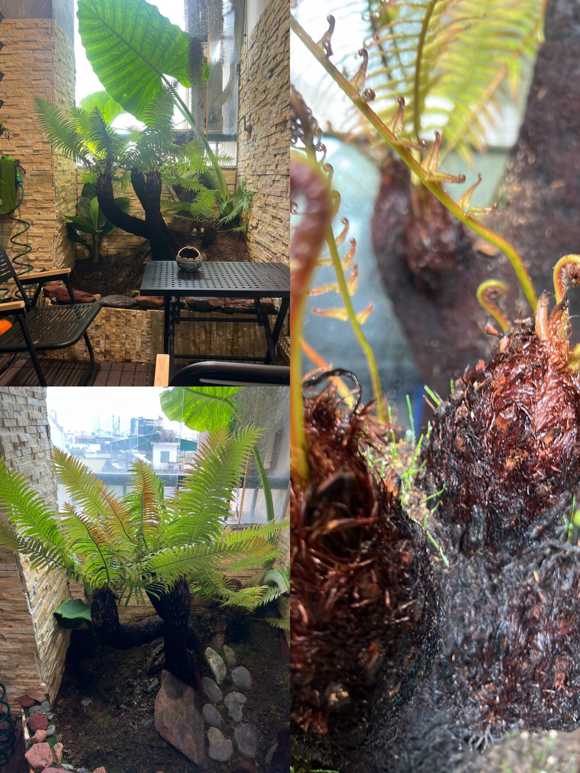 z5565996446841_f2747e64d8d32be9b99fe80bf8dd4357