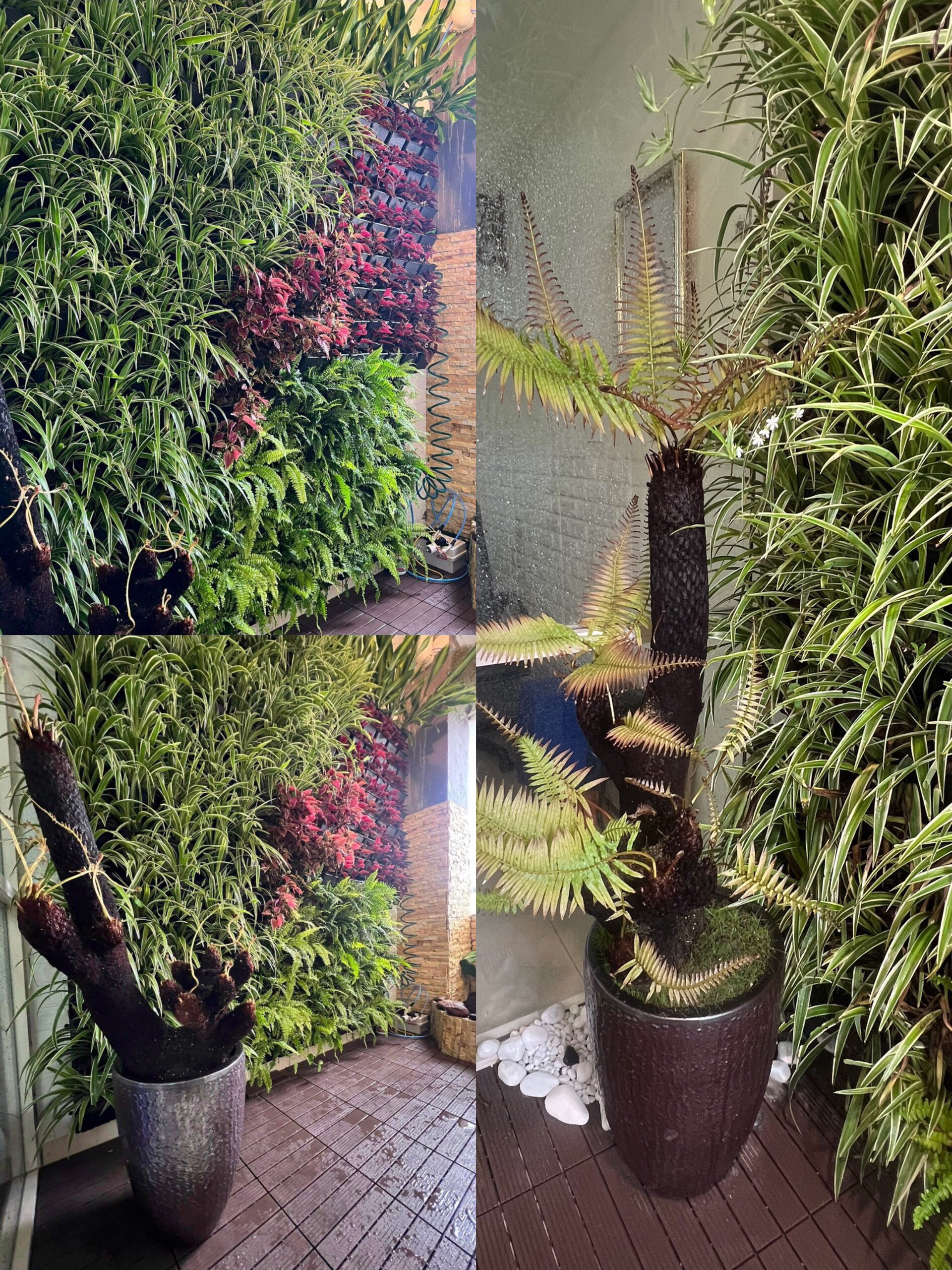 z5565996446842_57a5ae2e7a6f467082a6f6b300ad4a97