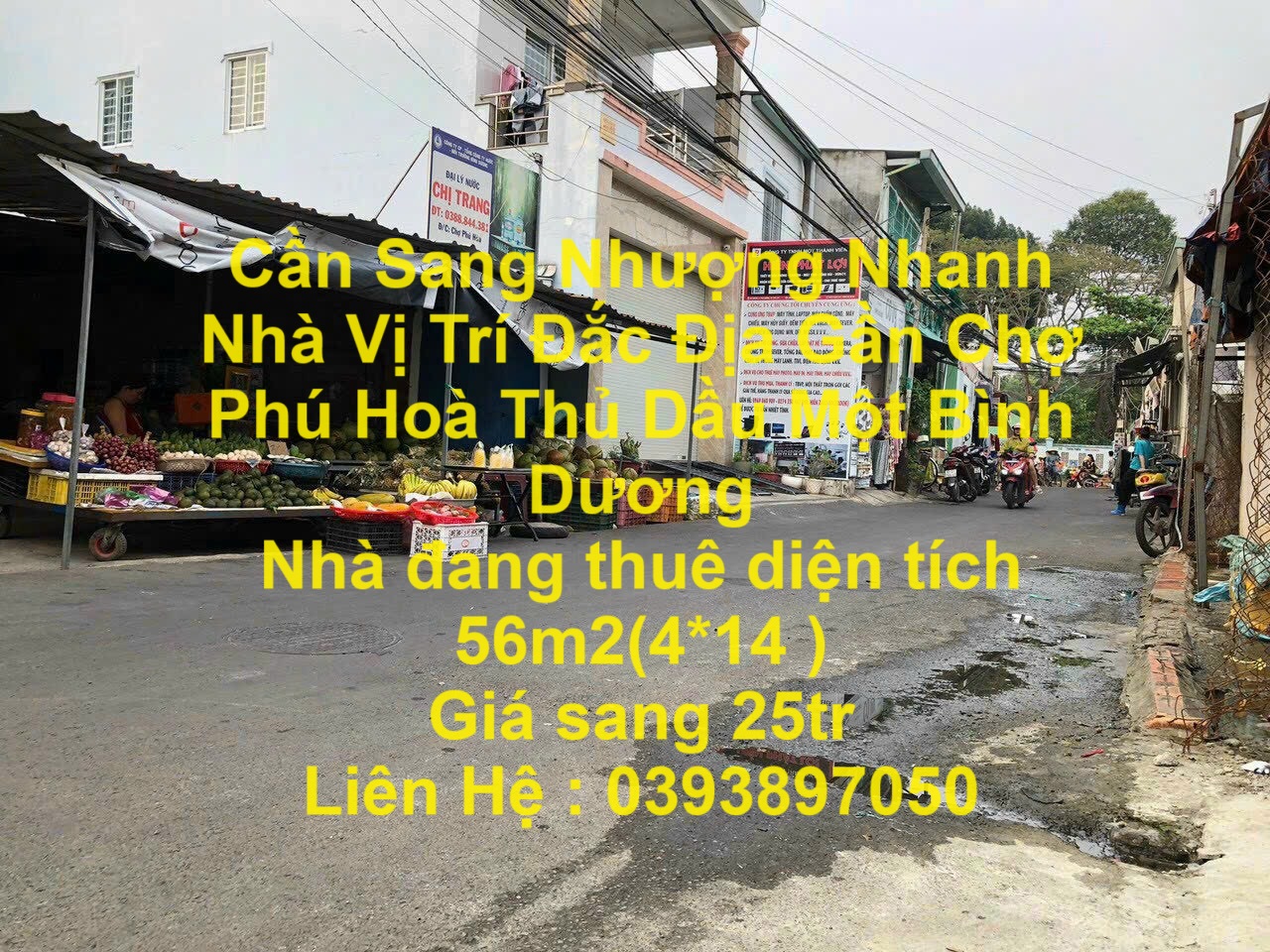 z5566438920671_8fea6769be8963b91d94459461494408 (1)