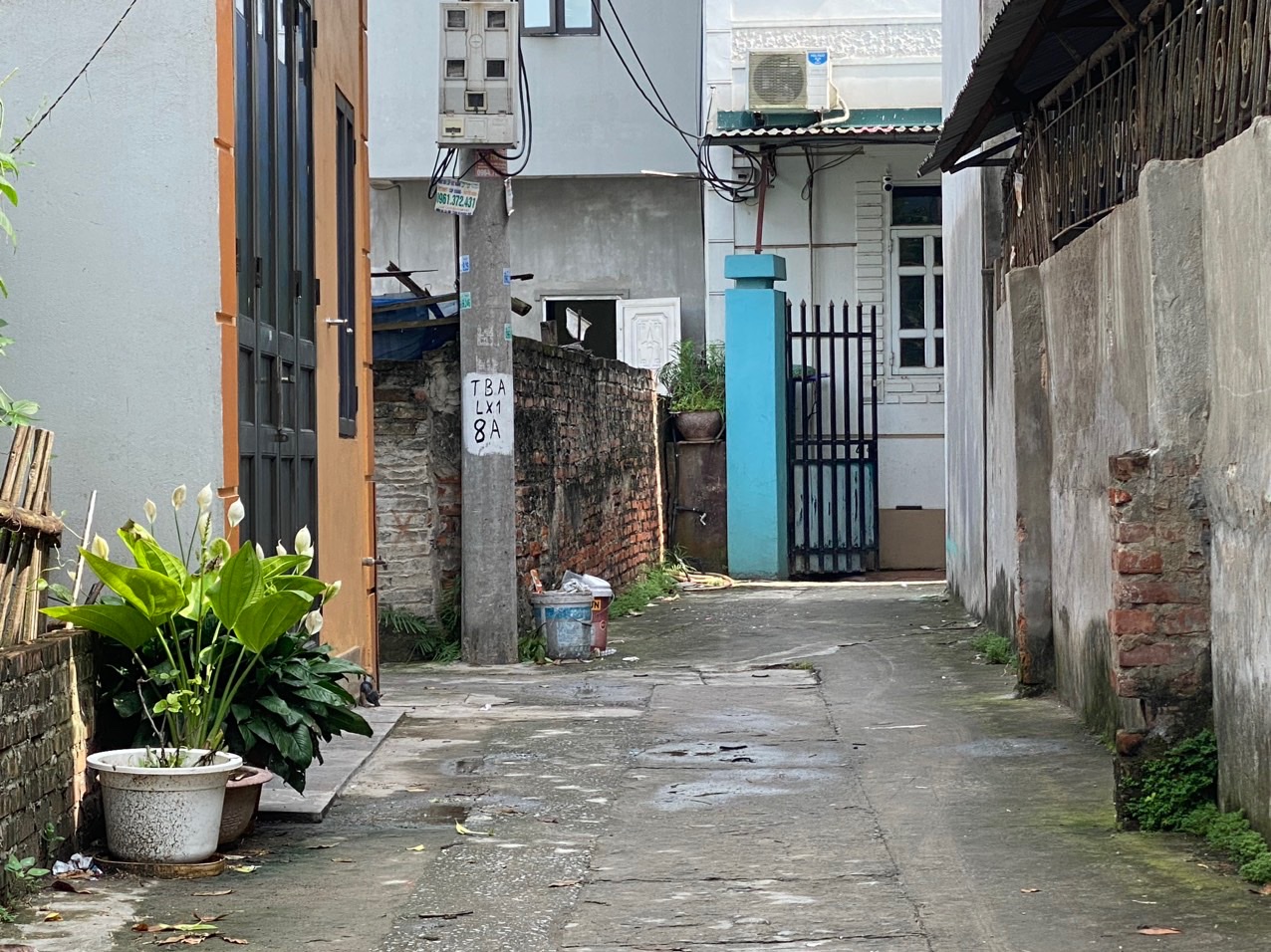 z5567216675215_204ba2ef1d654c5e90cd6a02f54095f2