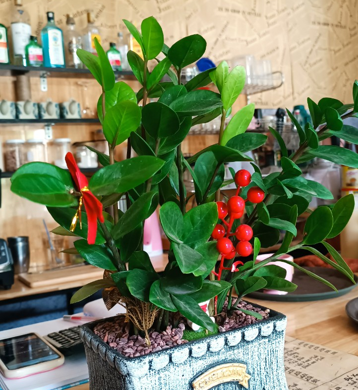 z5567217987712_609c8ffb3d8d10747a297f15eb74b900