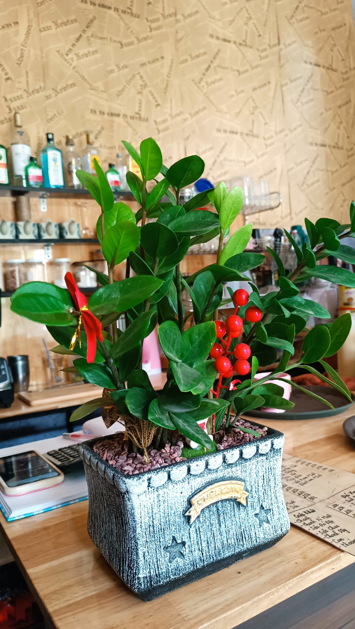 z5567217987712_609c8ffb3d8d10747a297f15eb74b900