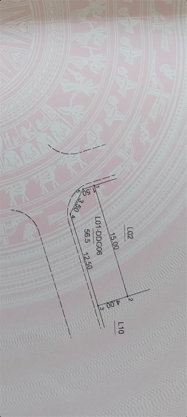 z5568134055813_aee297d87d4f3f66db694d04abad56ec