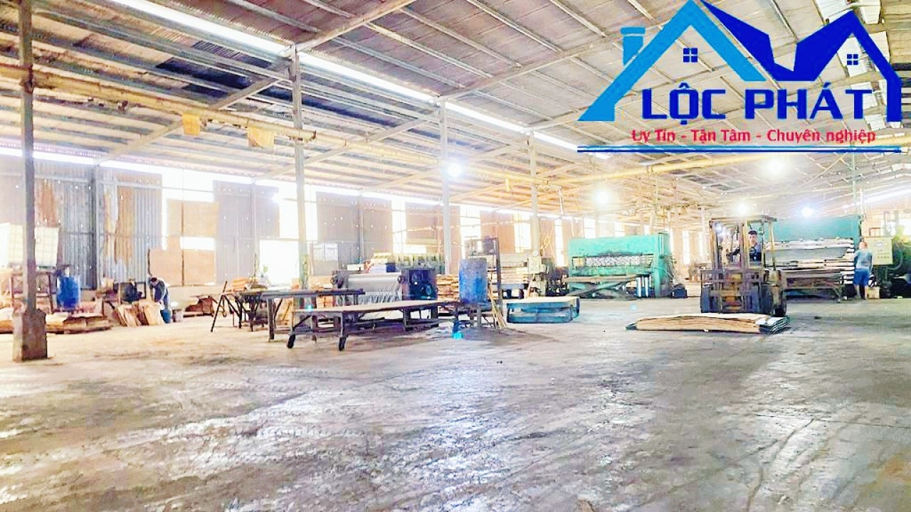 z5569095211009_8ff1b1a3cc49fcb2177e68d3c150d7ec