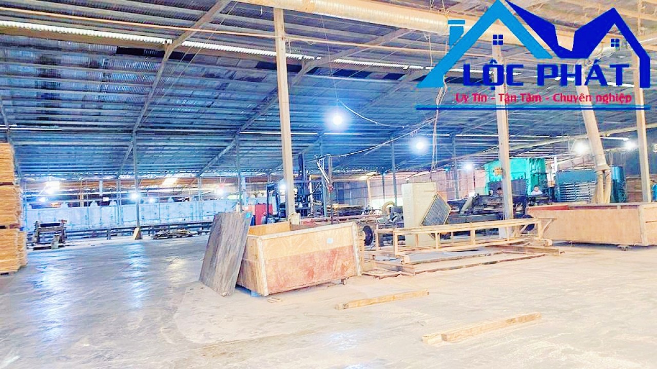 z5569095226724_158df309be96139edf2bc2068467a23a