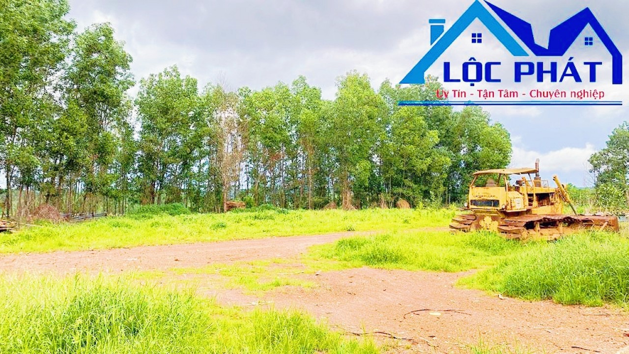 z5569095229342_7ded31378aea53cefad45d02ed3a473f