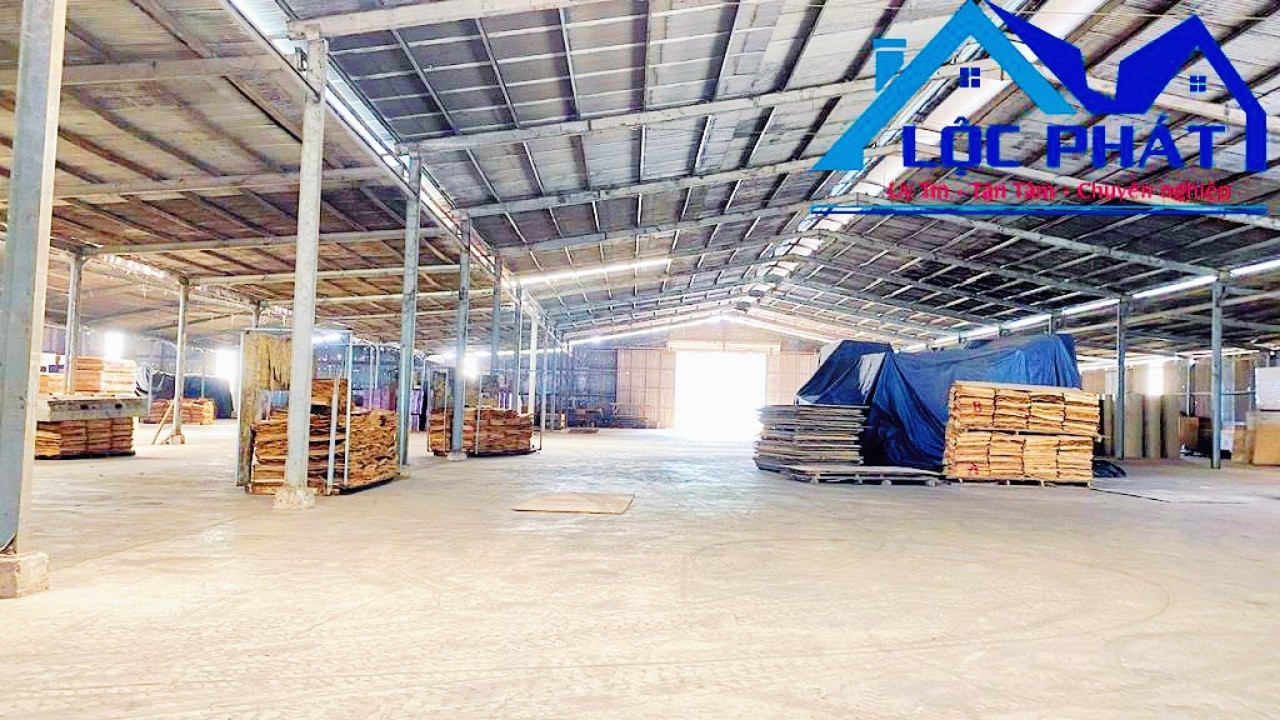 z5569095233994_c57f105163abd0d97b61461e729b9cc6