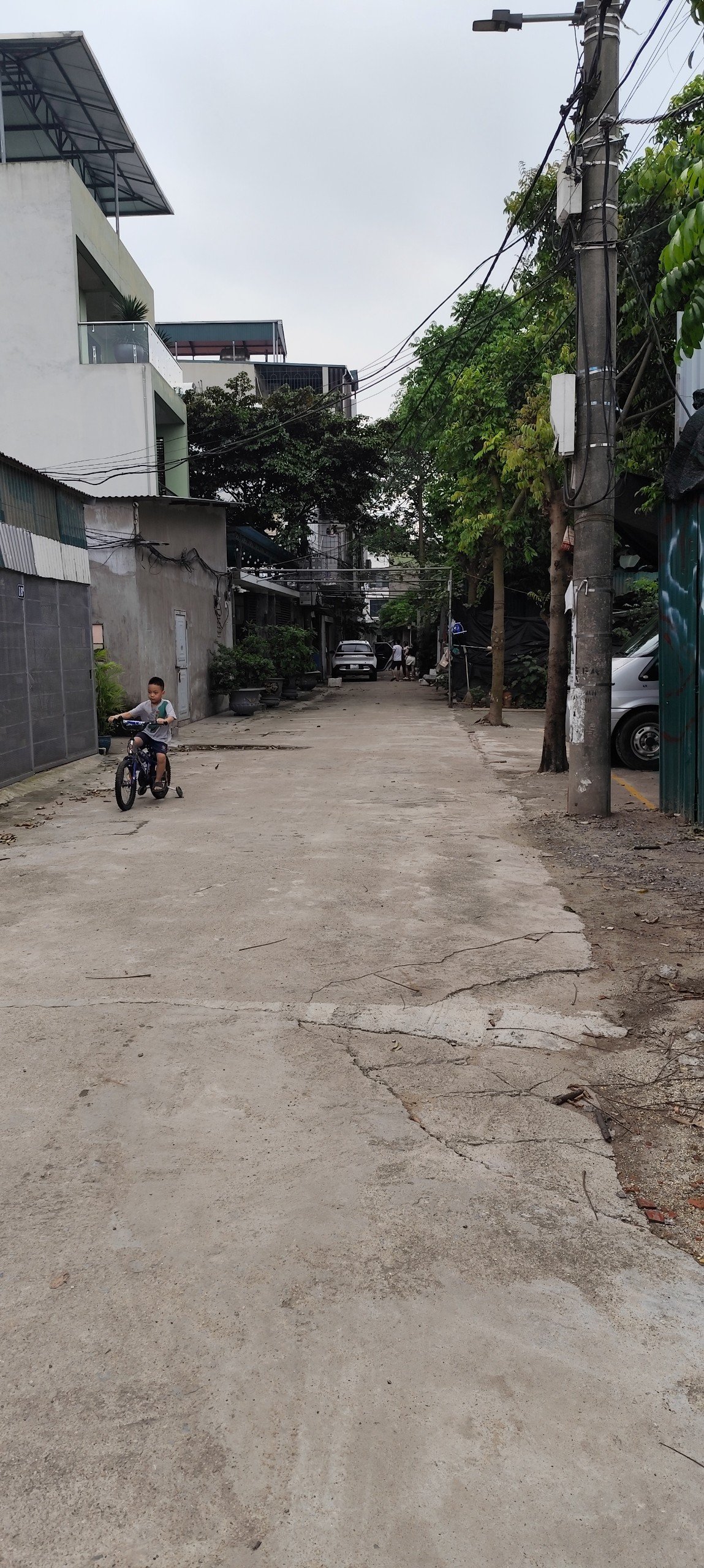 z5569157189629_bcd9f1c58df4d27d6c0bc80f43196517