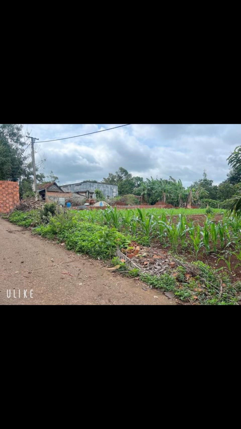 z5569854416470_7352d110269275873703119fc0d5c5c2