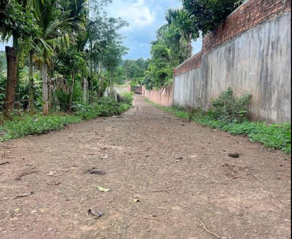 z5569854424762_fee61ef05bc215899d874d1b055c961a