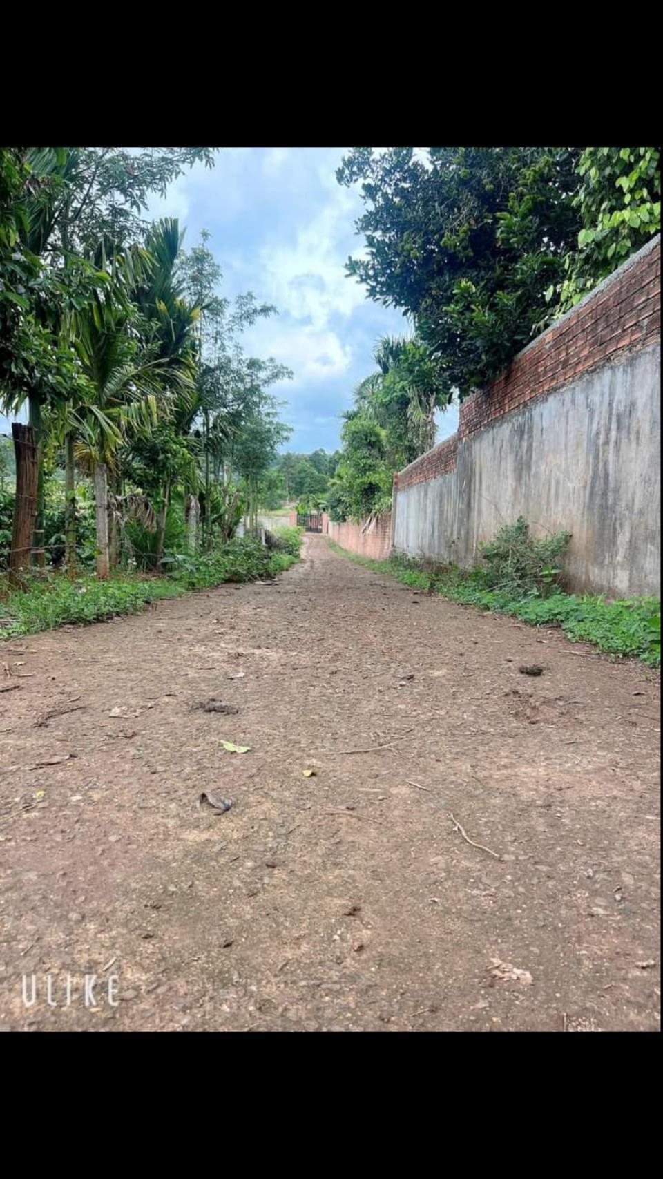 z5569854424762_fee61ef05bc215899d874d1b055c961a