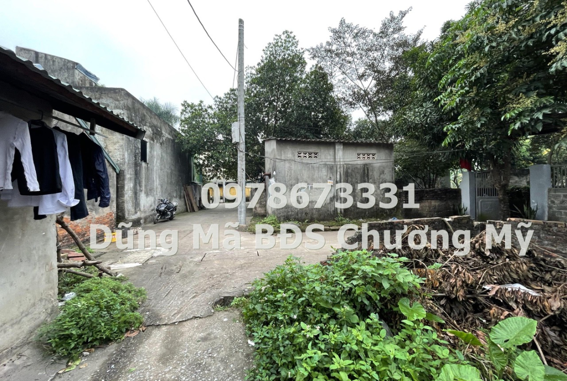 z5572249948457_107540547b174b0d333b5bd8ad481cdf