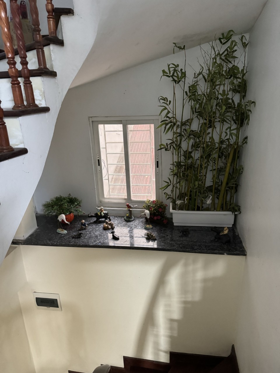 z5572848439321_8cf3382458111cdec35e768e0cb6fa6d