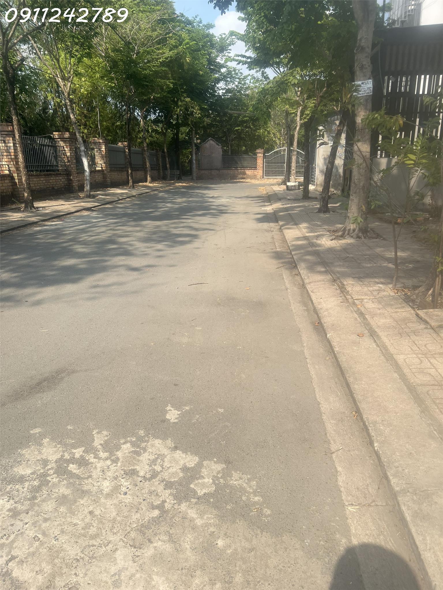 z5573681346967_bc224b06a1944af935eceece23ffdfdf