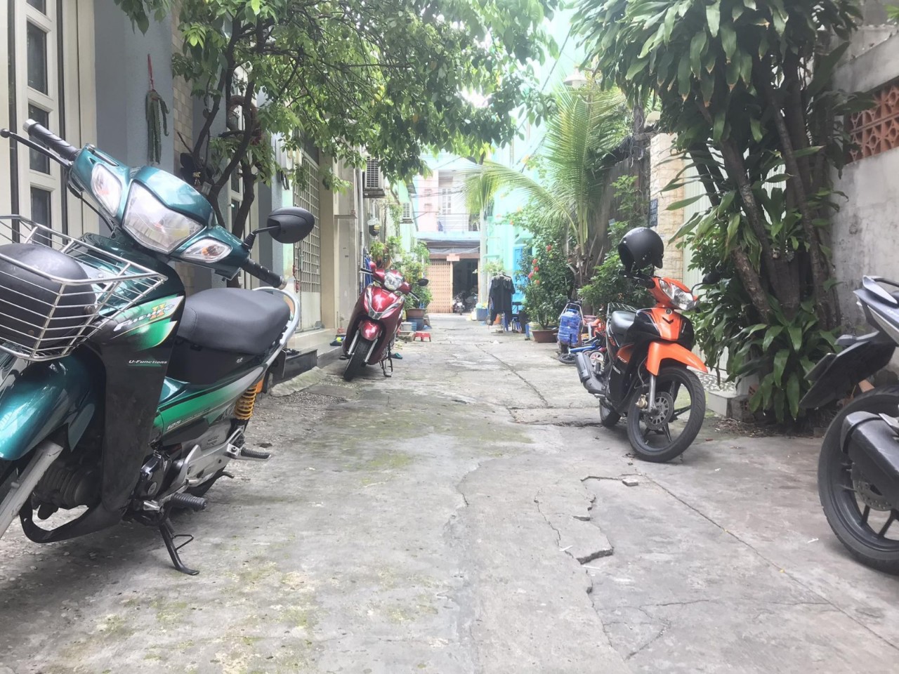 z5573898566211_1a3510b9ecfc4cfa1dcf7c9ce6d20d1f