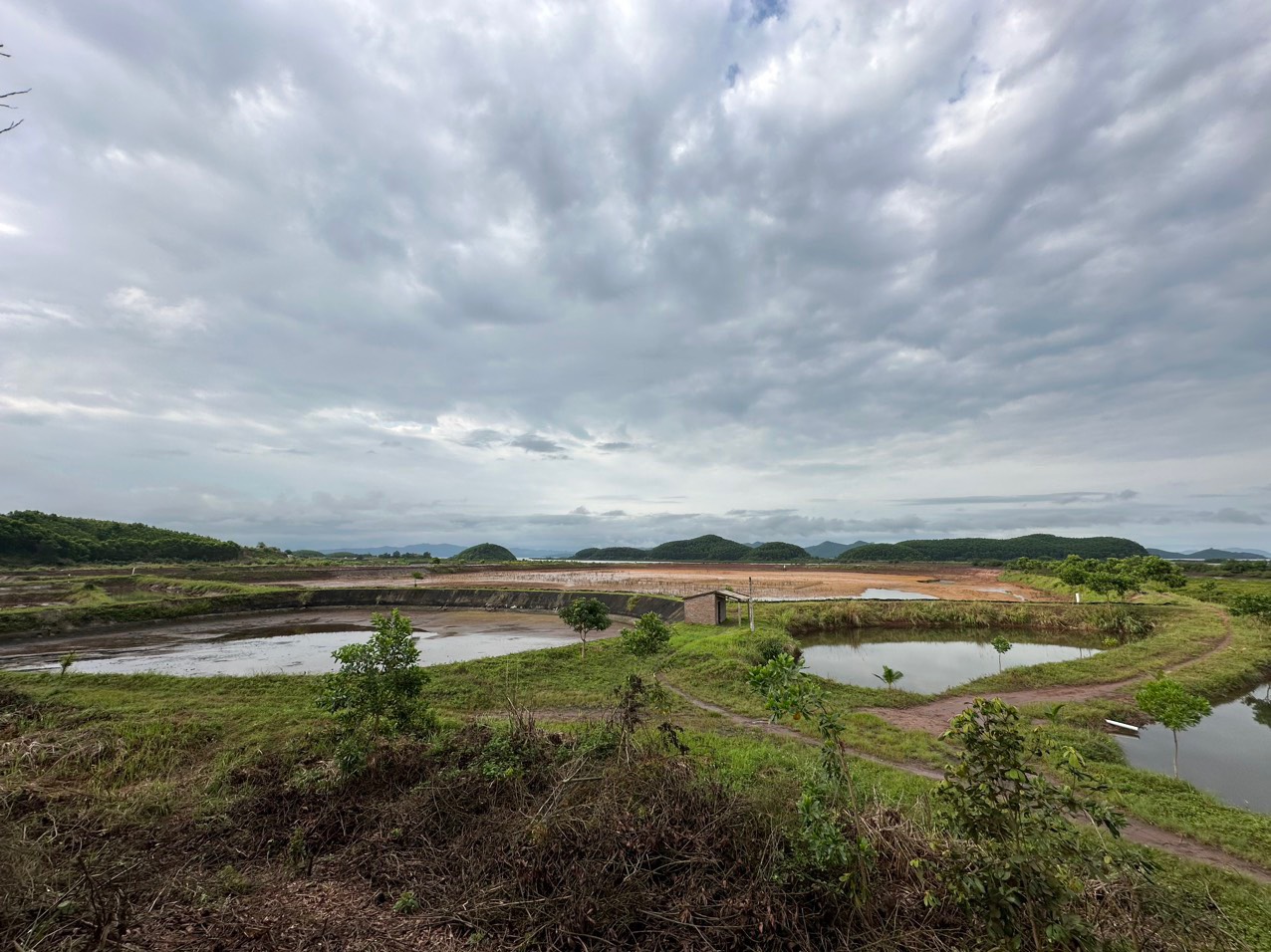 z5574921125884_eea492eddb024826d17d550ecd6d97c1