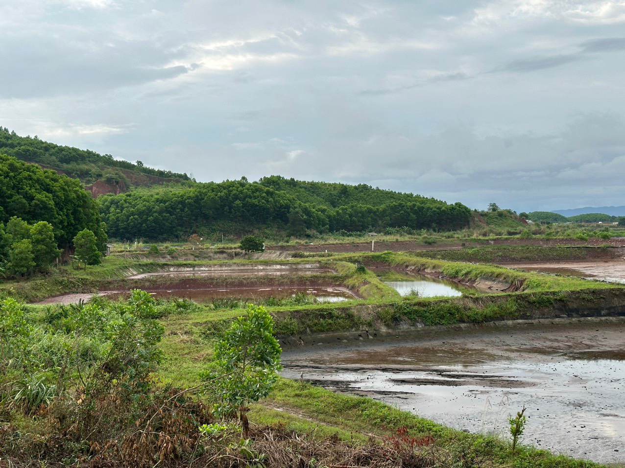 z5574921125890_de301c48d57244a91a7fd8c1d9757257