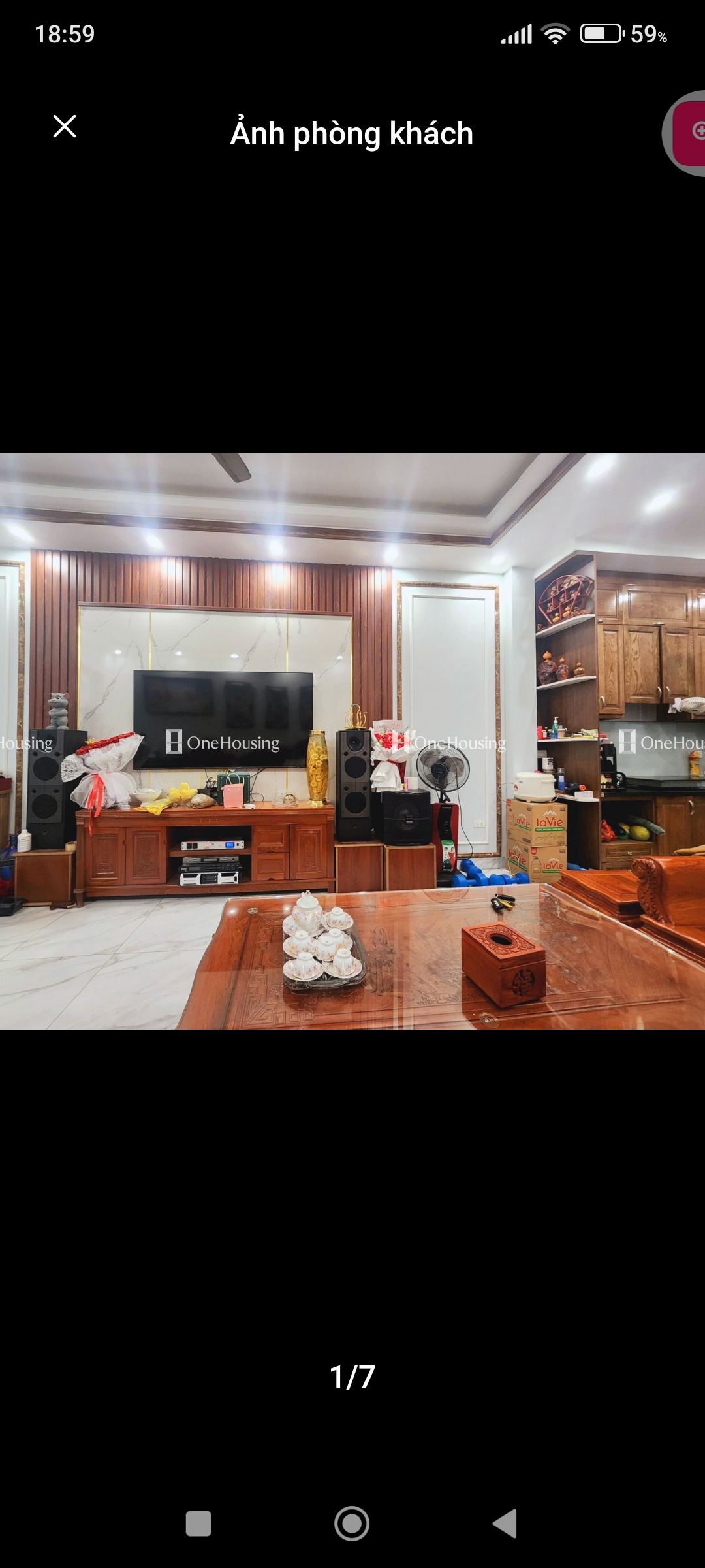 z5574949008318_1215060146a2eca0df81f489be8d4988