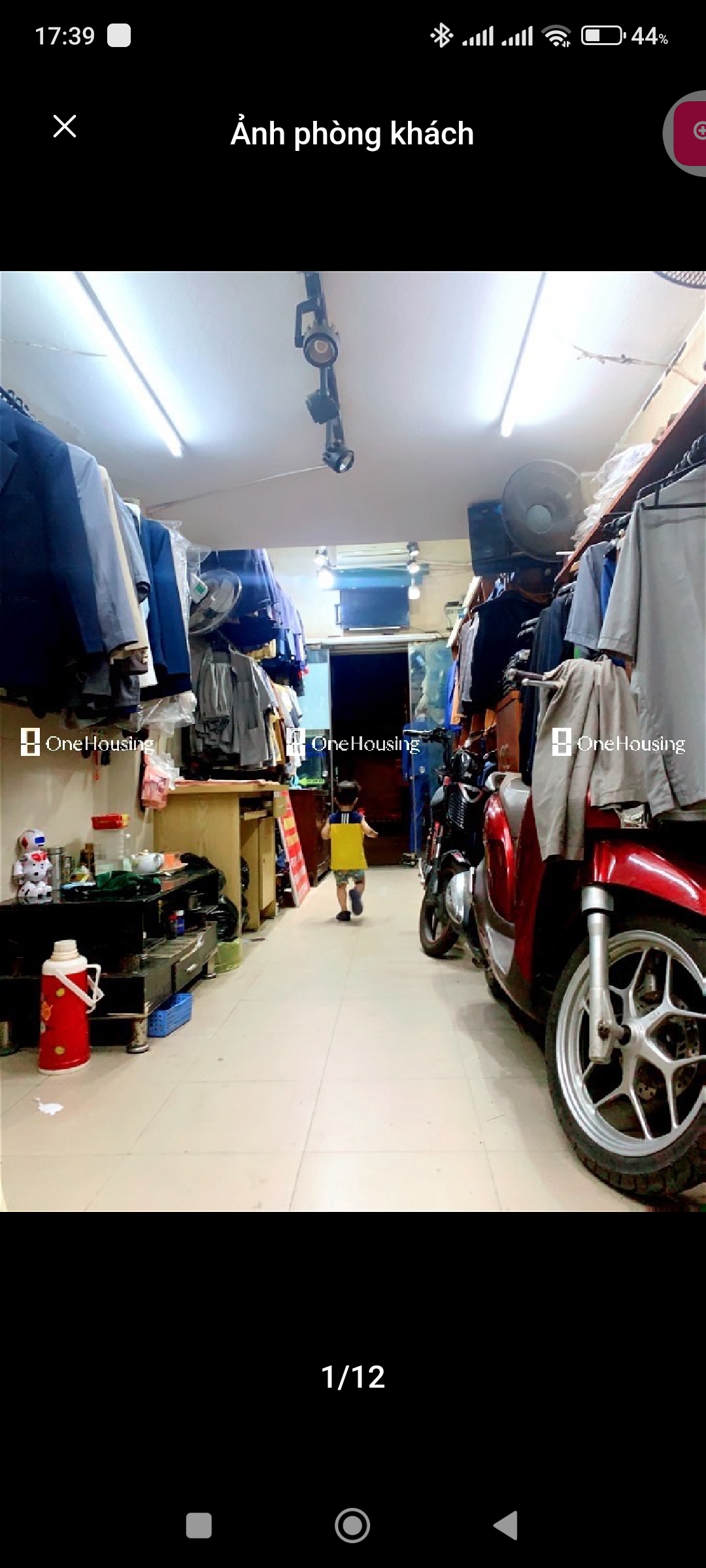 z5579772122847_4e1088bc115f326f7aee877d94a6a5d9