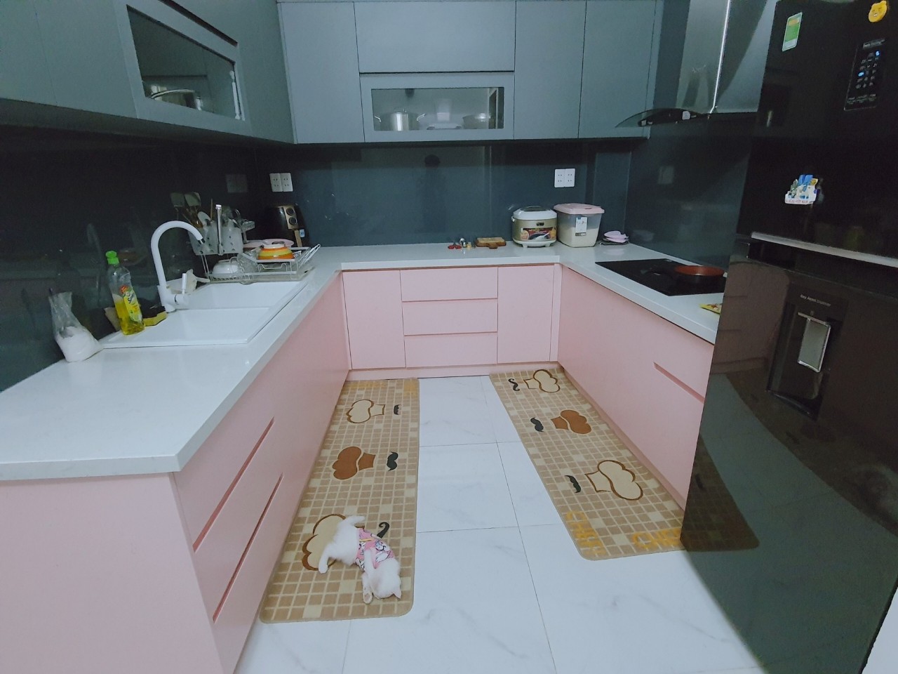 z5580526302583_886edd7156283c017a428ac31d9ea3c3