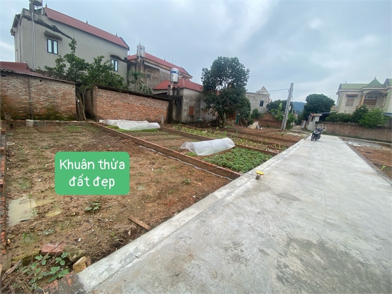 z5580969860768_dba9f9cd697aee5948abb39eedd3a041