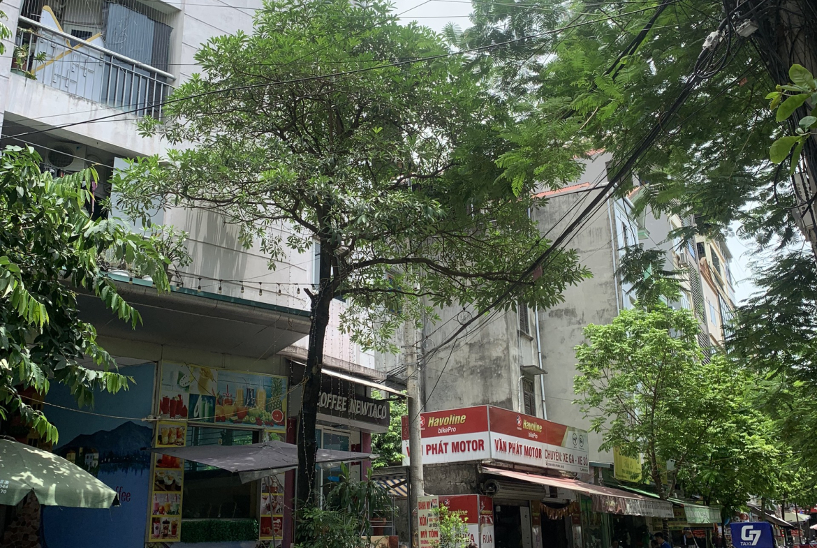 z5582004260382_69b7b4e93843ba80bfae6ce4a94cfcf6